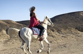 Horse back riding